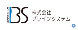 株式会社ブレインシステム